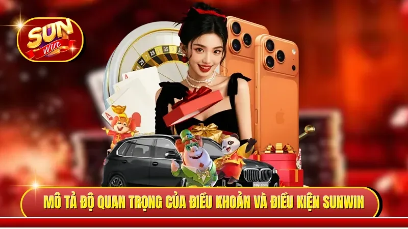 Mô tả độ quan trọng của điều khoản và điều kiện Sunwin